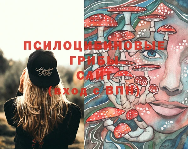 мдма Богородск