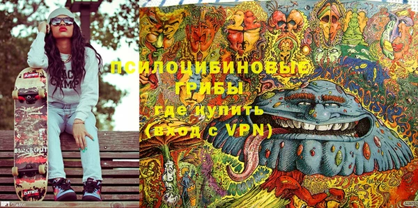 ALPHA PVP Богородицк